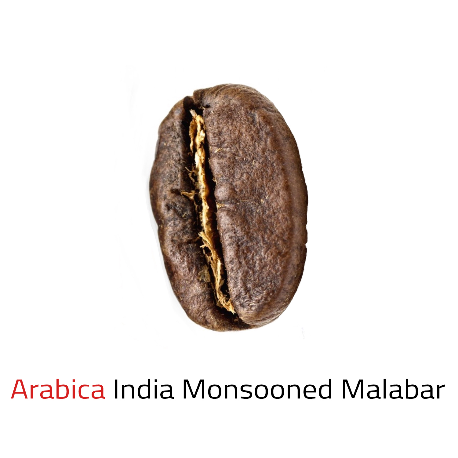 Čerstvě pražená káva zrnková Indie Malabar Monsooned 