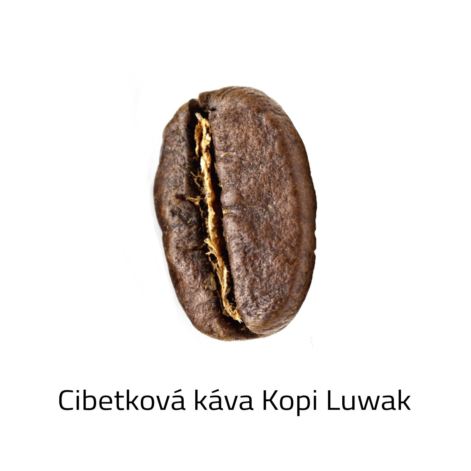 Čerstvě pražená Cibetková káva zrnková - Kopi Luwak 100g