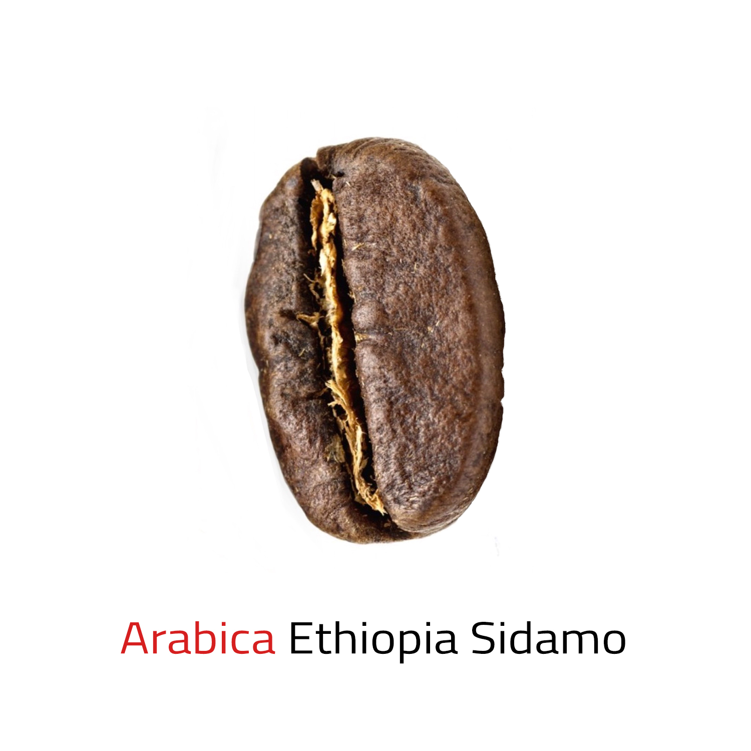 Čerstvě pražená káva zrnková Arabica Ethiopia Sidamo